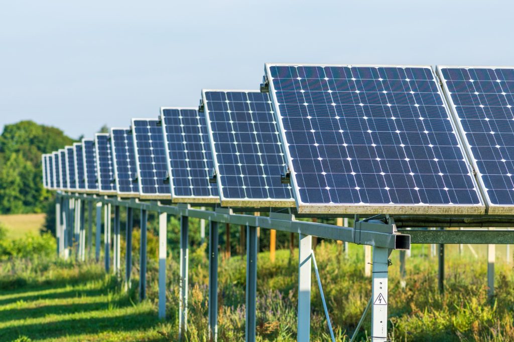 Agrovoltaica agricultura y fotovoltaica