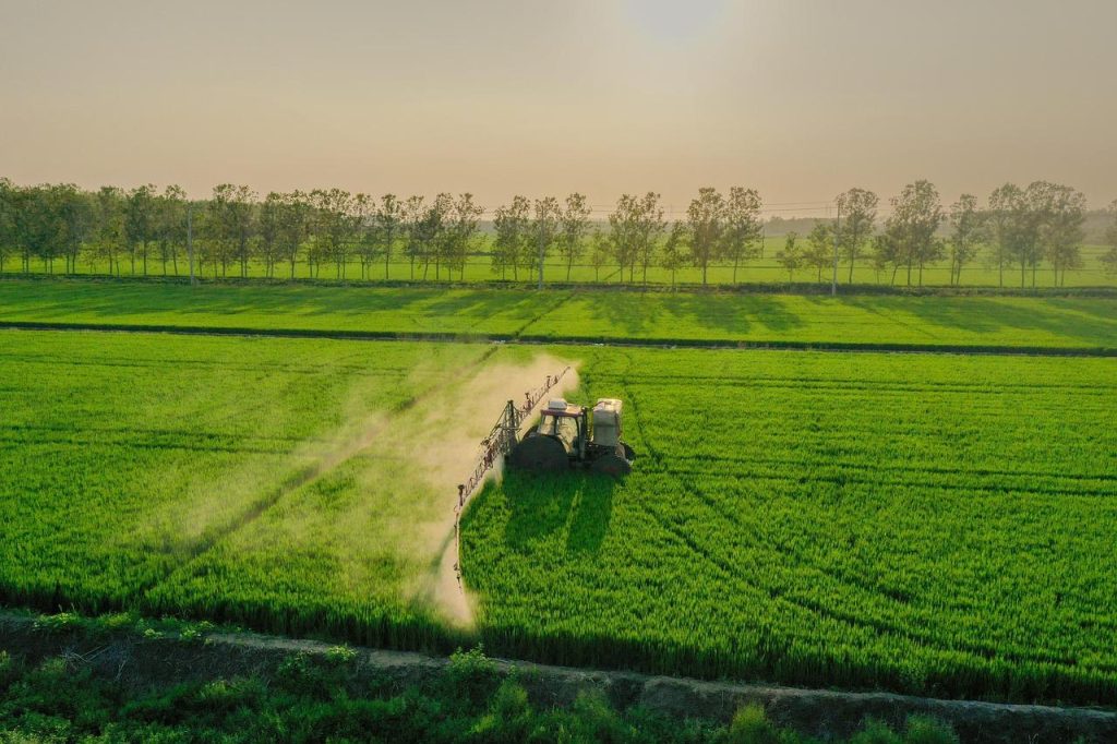 Sector agricola
