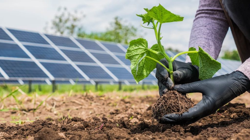 Ventajas energia solar